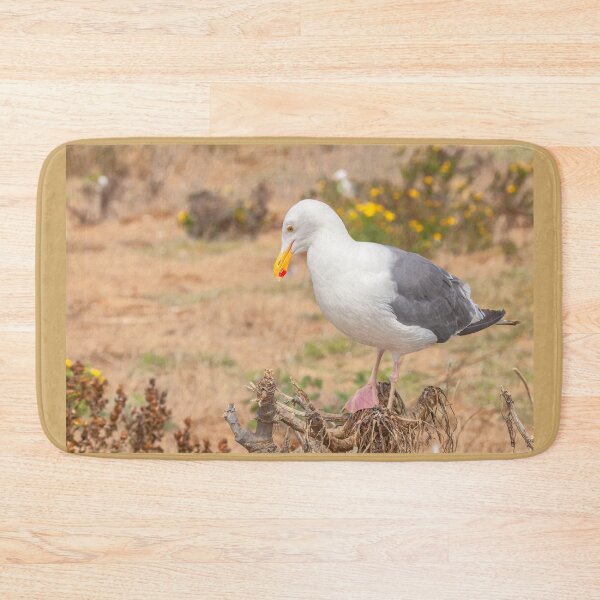 Item preview, Thinking Gull designed and sold by jvnimages.