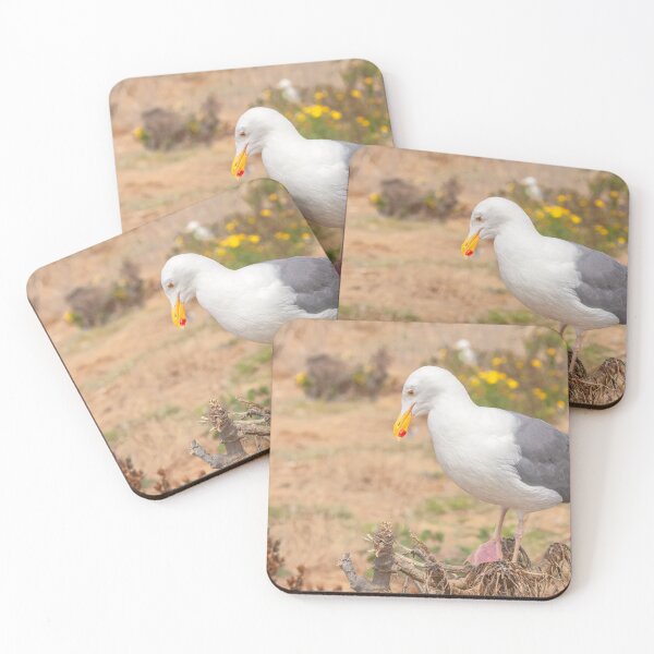 Item preview, Thinking Gull designed and sold by jvnimages.