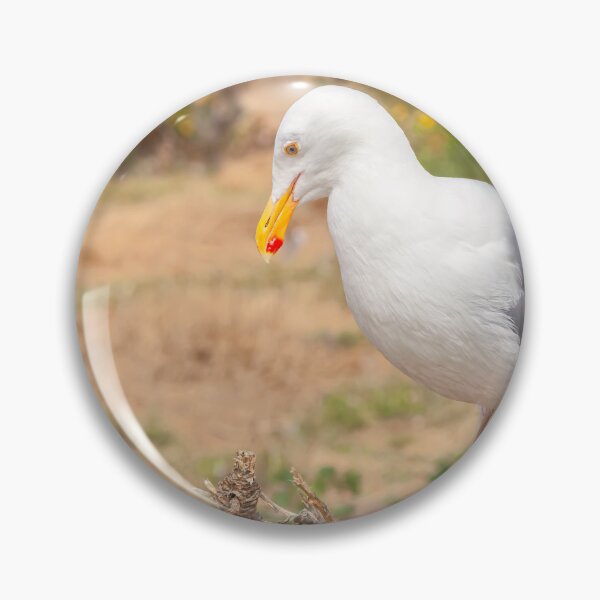 Item preview, Thinking Gull designed and sold by jvnimages.