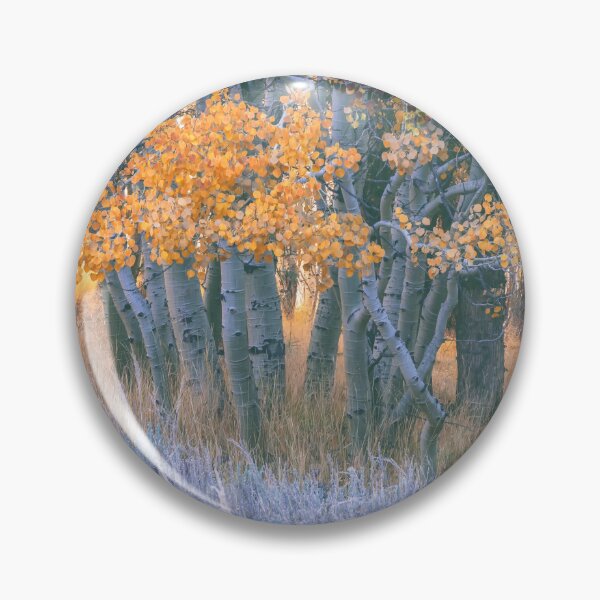 Item preview, Autumn Aspens designed and sold by jvnimages.