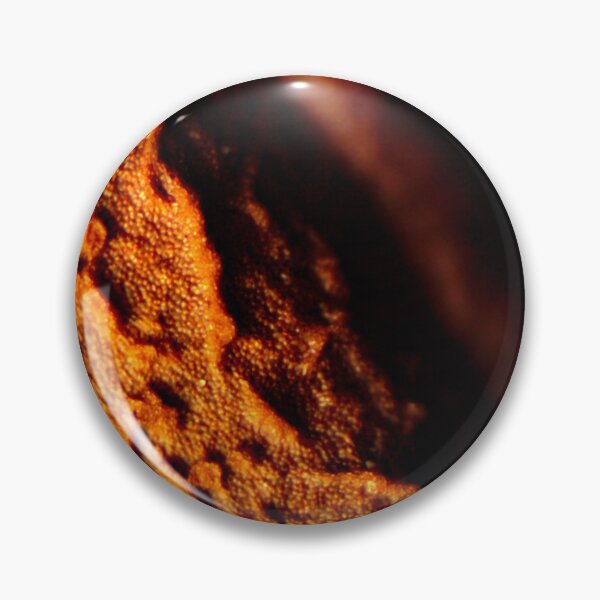 Item preview, Plant Seed 2 designed and sold by Microscope-Art.