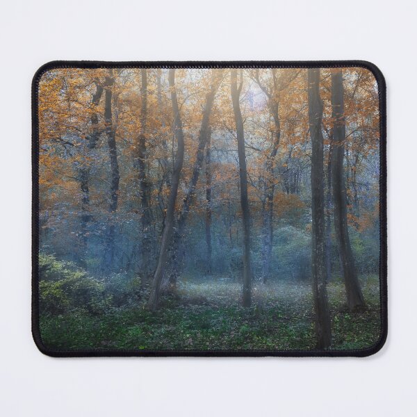 Item preview, Dreamy forest in autumn. designed and sold by Dejan Travica.