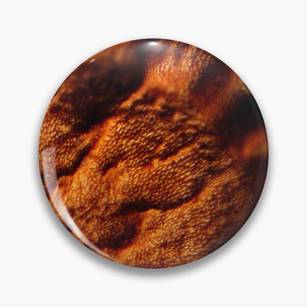 Item preview, Plant Seed 3 designed and sold by Microscope-Art.