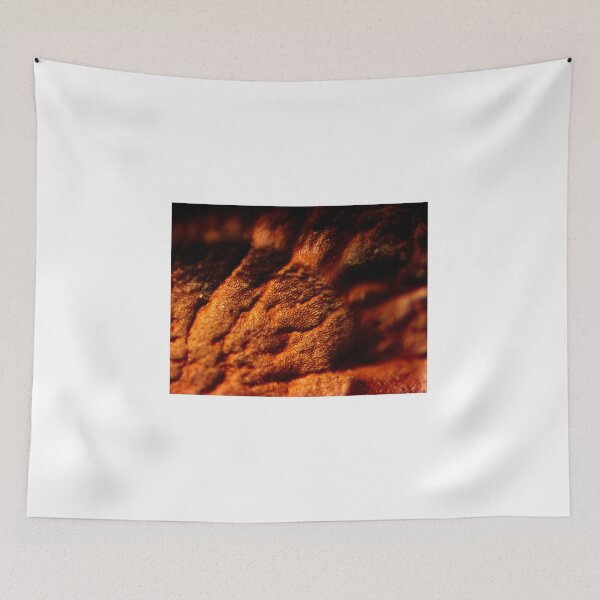 Item preview, Plant Seed 3 designed and sold by Microscope-Art.