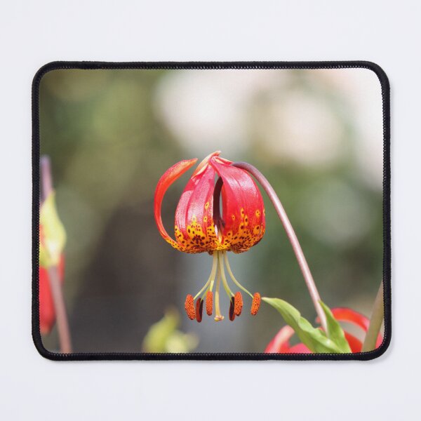 Item preview, Tiger lillies I designed and sold by GreyFeatherPhot.