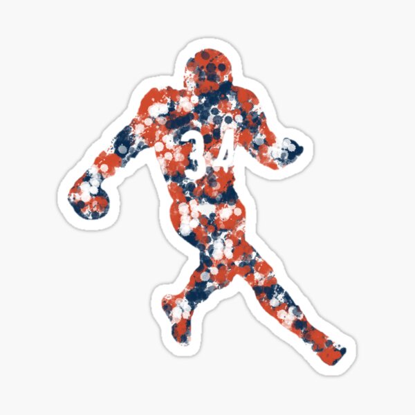 Chicago Bears 4 x 3.5 Bear Face Static Cling Decal - Clark Street Sports