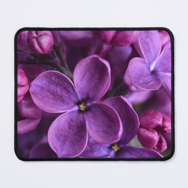 Item preview, Lilac flower designed and sold by Darius Bocos.