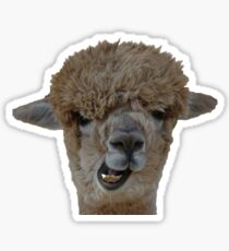 Goofy Alpaca Sticker