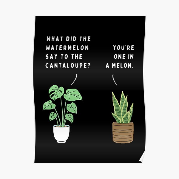 "Plant joke What did the watermelon say to the cantaloupe? (colour