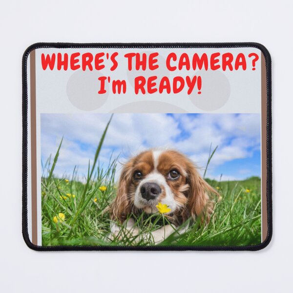Item preview, " WHERE'S THE CAMERA? I'M READY! " CUTE DOG DESIGN designed and sold by findsbyjune374.