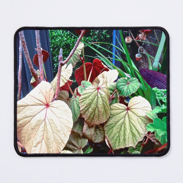 Item preview, Beautiful leaves designed and sold by Shulie1.