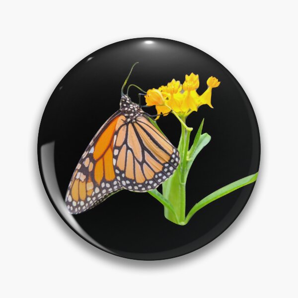 Item preview, Orange Monarch Butterfly on Black designed and sold by Shapes-Mania.