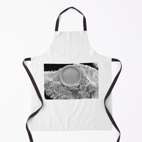 Item preview, EM scans designed and sold by Csherburne.