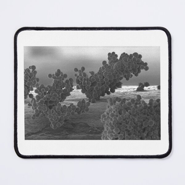 Item preview, EM scan designed and sold by Csherburne.