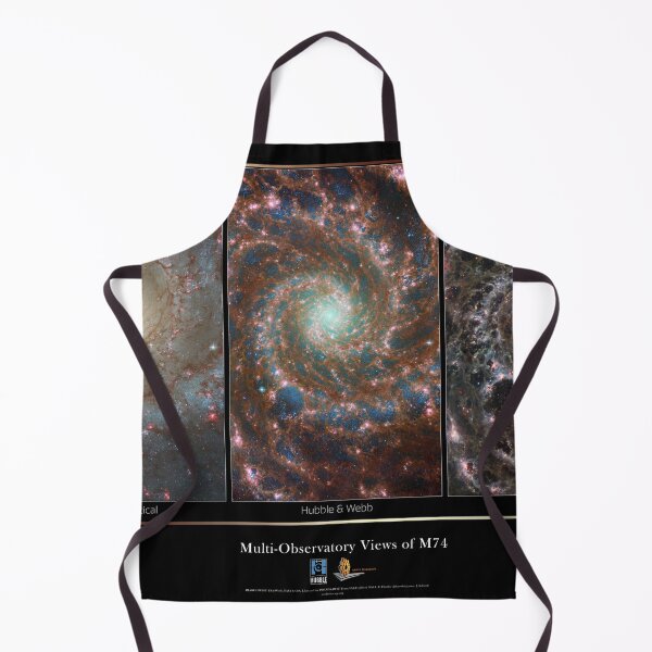 Item preview, Multi-Observatory Views of M74 - James webb designed and sold by NTxPhotography.