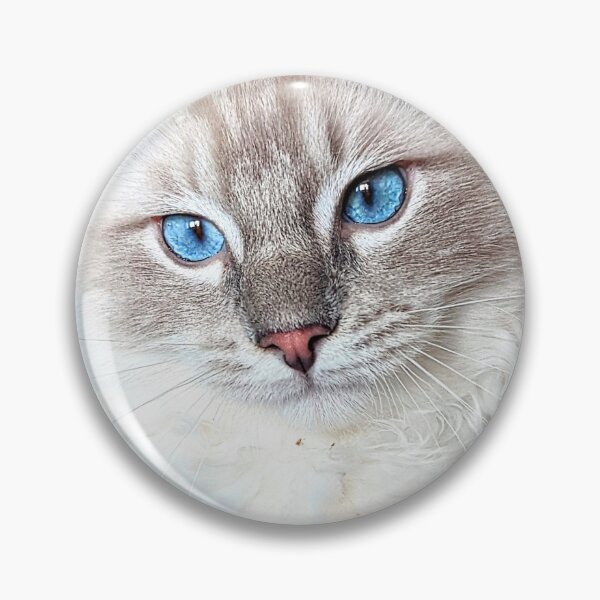 Item preview, Beautiful lynx ragdoll baby boy cat designed and sold by Fluffycat2020.