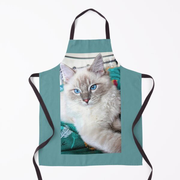 Item preview, Beautiful lynx ragdoll baby boy cat designed and sold by Fluffycat2020.