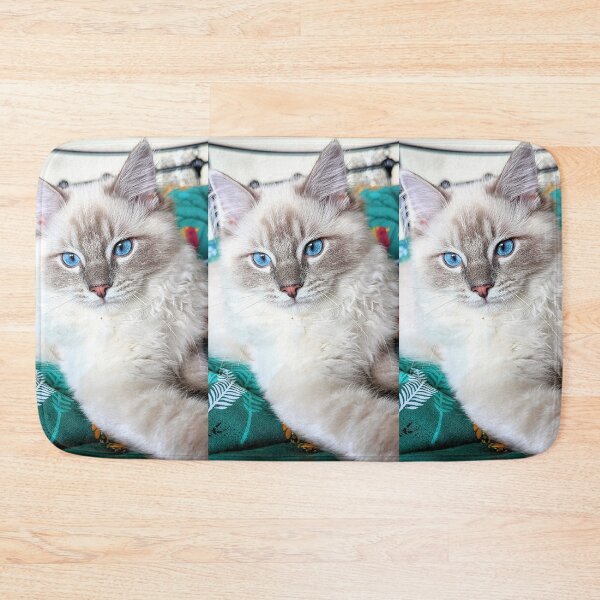 Item preview, Beautiful lynx ragdoll baby boy cat designed and sold by Fluffycat2020.