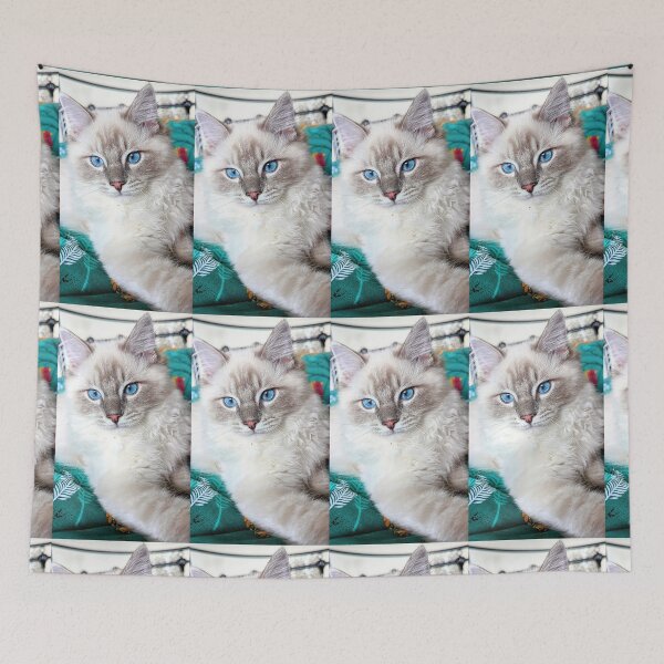 Item preview, Beautiful lynx ragdoll baby boy cat designed and sold by Fluffycat2020.