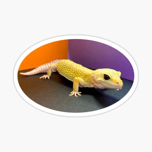 Green Gecko Stickers for Sale | Redbubble