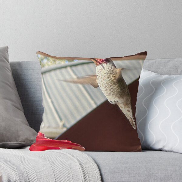 Item preview, Red headed hummingbird  designed and sold by pinkT.