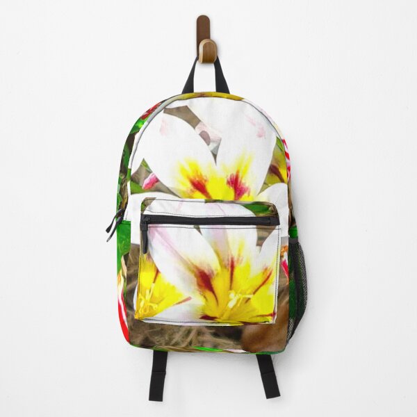 Item preview, Spring 1 designed and sold by SDC Original Designs.