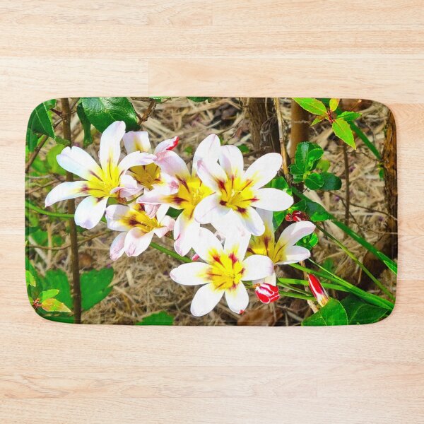 Item preview, Spring 1 designed and sold by SDC Original Designs.