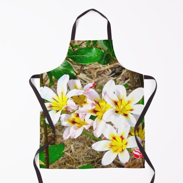 Item preview, Spring 1 designed and sold by SDC Original Designs.