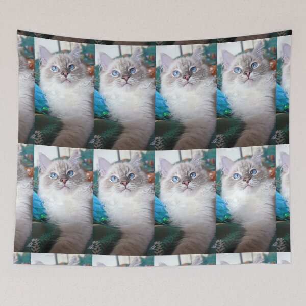 Item preview, Beautiful lynx ragdoll baby boy cat designed and sold by Fluffycat2020.