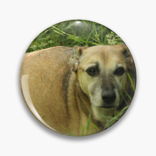 Item preview, old dog designed and sold by Francespoppy.