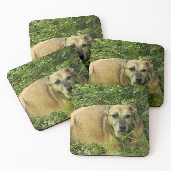 Item preview, old dog designed and sold by Francespoppy.