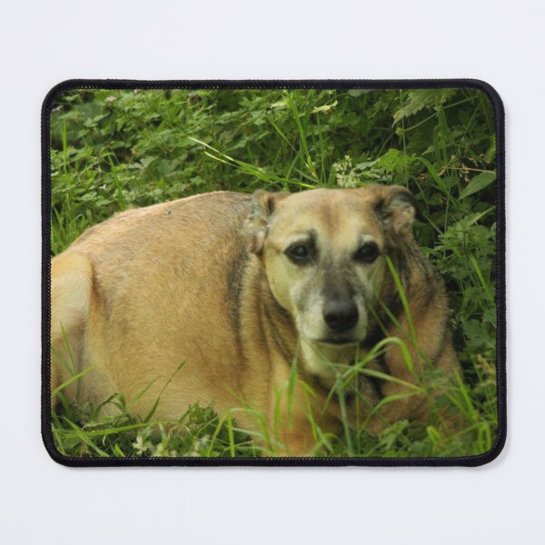 Item preview, old dog designed and sold by Francespoppy.