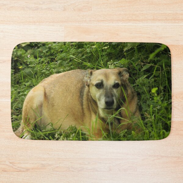 Item preview, old dog designed and sold by Francespoppy.