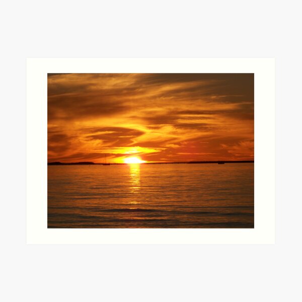 Natures Finest Art Print