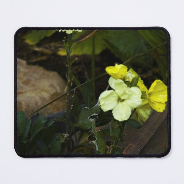 Item preview, yellow flowers designed and sold by Francespoppy.