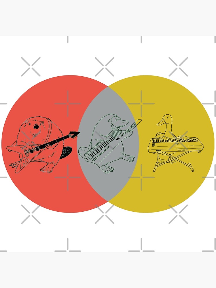 keytar platypus venn diagram red gray yellow metal print venn diagram platypus keytar
