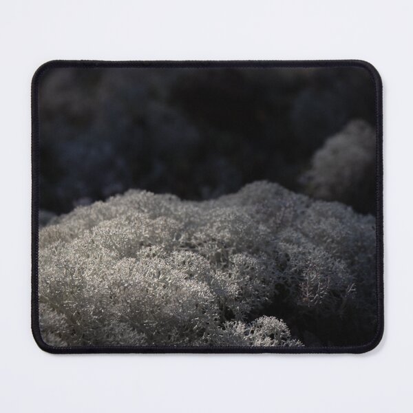 Item preview, White is the new green - Fall 2022 collection designed and sold by Krystoffer.