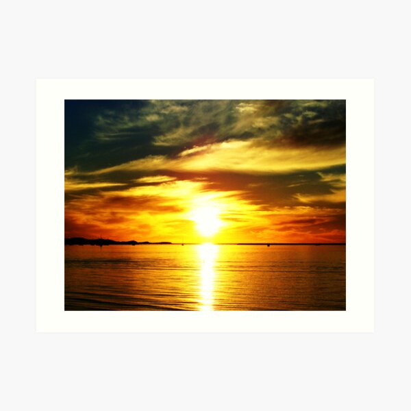 Natures Finest #6 (Enriched) Art Print