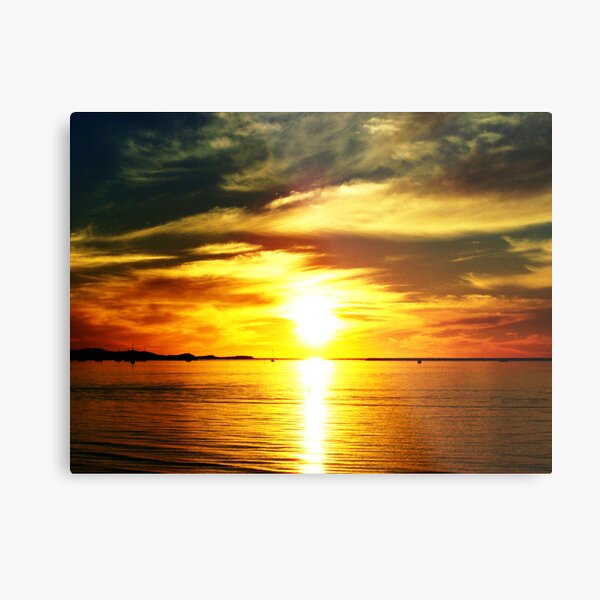 Natures Finest #6 (Enriched) Metal Print