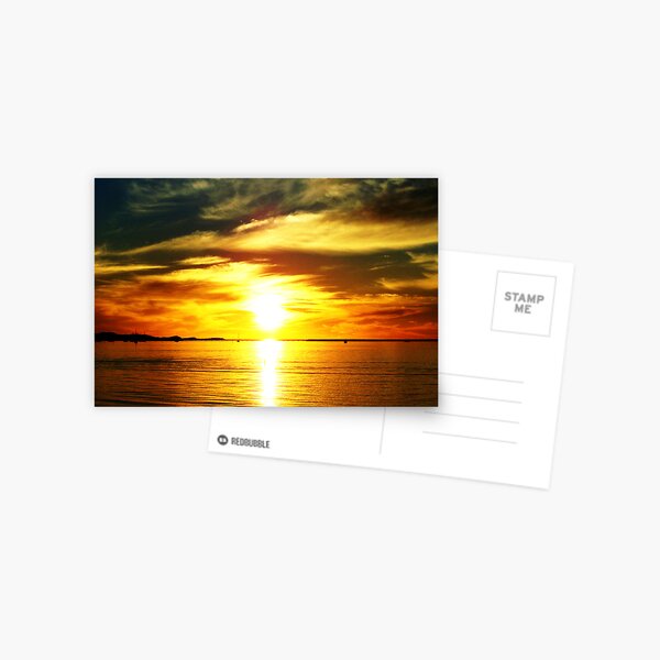 Natures Finest #6 (Enriched) Postcard