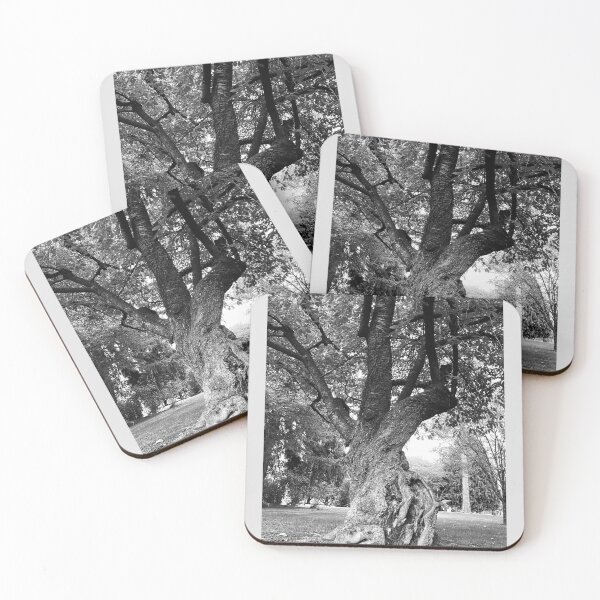 Item preview, Twisted Tree designed and sold by Haven Black.
