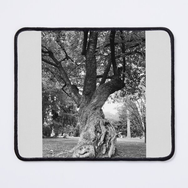 Item preview, Twisted Tree designed and sold by Haven Black.