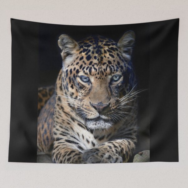 Item preview, Leopard designed and sold by Savannah Gibbs.