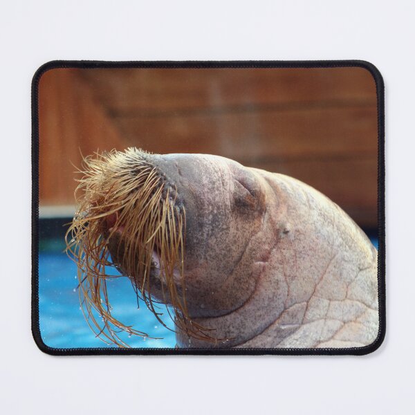 Item preview, Walrus designed and sold by QuackerSnaps.