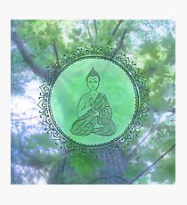 Heart Chakra Nature Buddha Photographic Print