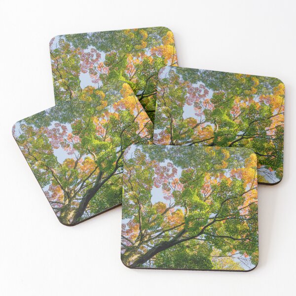 Item preview, colors of maple designed and sold by LudaNayvelt.