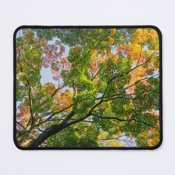 Item preview, colors of maple designed and sold by LudaNayvelt.