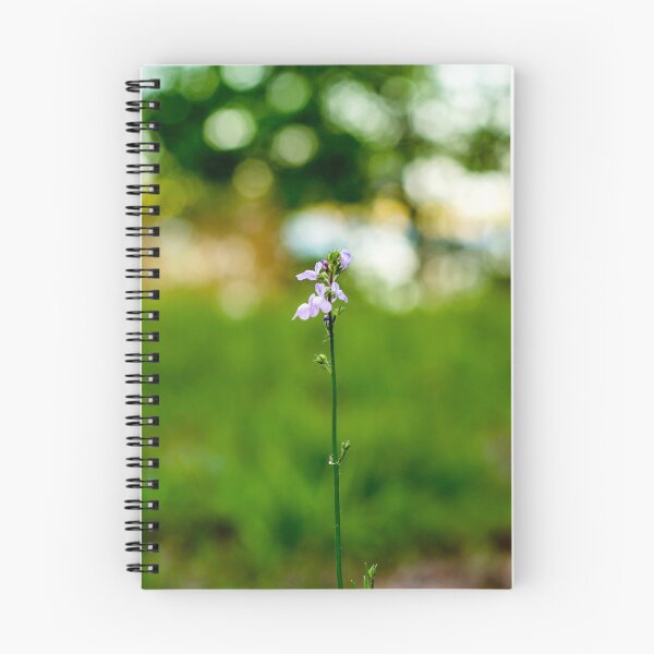 Item preview, Intensity designed and sold by LittleMsHorner.