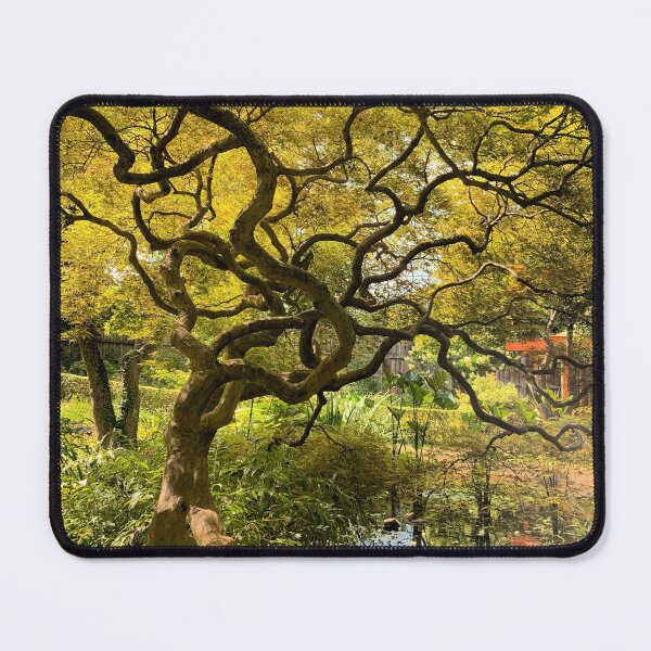 Item preview, Twisted and Beautiful Photograph designed and sold by noorsclafani.