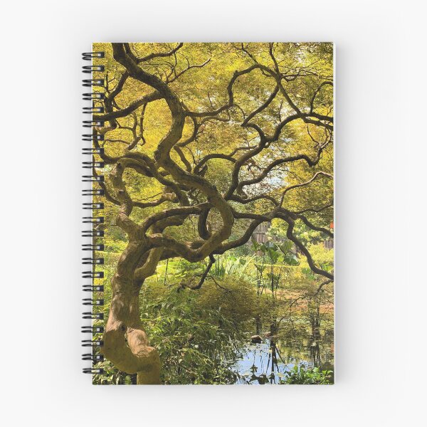 Item preview, Twisted and Beautiful Photograph designed and sold by noorsclafani.